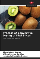 Process of Convective Drying of Kiwi Slices: Using Infinite Wall Geometry 620592384X Book Cover