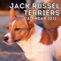 Jack Russel Terriers: 2021 Calendar, Cute Gift Idea For Jack Russel Terrier Lovers Or Owners Men And Women B08RBR71DP Book Cover