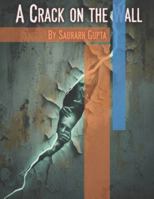 A Crack on the Wall B0FZKMGFV4 Book Cover