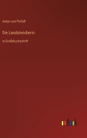 Die Landstreicherin: in Großdruckschrift 3368290630 Book Cover