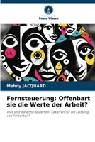 Fernsteuerung: Offenbart sie die Werte der Arbeit? 6205813297 Book Cover