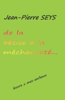 De la bêtise à la méchanceté: Lettre à mes enfants 2955644854 Book Cover