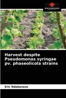 Harvest despite Pseudomonas syringae pv. phaseolicola strains 6203179027 Book Cover
