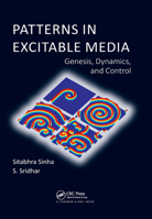 Patterns in Excitable Media: Genesis, Dynamics, and Control 0367377985 Book Cover