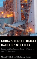 China's Technological Catch-Up Strategy: Industrial Development, Energy Efficiency, and Co2 Emissions 0199385327 Book Cover