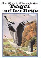 Vogel Auf Der Reise 3846003948 Book Cover