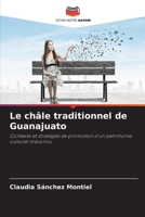 Le châle traditionnel de Guanajuato: Contexte et stratégies de promotion d'un patrimoine culturel méconnu (French Edition) 6206837297 Book Cover