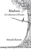 Madness: A Collection of Poems B0H6XGDQQ5 Book Cover
