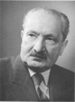 Heidegger and the Earth: Issues in Environmental Philosophy 0943549086 Book Cover