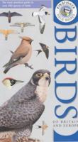 Kingfisher Field Guide to the Birds of Britain and Europe (Kingfisher Field Guides) 1856970558 Book Cover