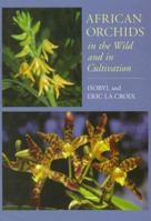 African Orchids in the Wild and in Cultivation 0881924059 Book Cover