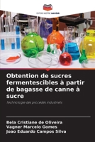 Obtention de sucres fermentescibles à partir de bagasse de canne à sucre (French Edition) 6207613791 Book Cover