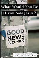 What Would You Do If You Saw Jesus? B091DWW9KF Book Cover