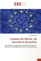 L’espace de liberté, de sécurité et de justice: Des tensions ambivalentes entre le principe de confiance mutuelle et les droits fondamentaux 6202551224 Book Cover