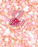 Z: Gorgeous Marble Monogram Initial Notebook for Teens, Adults With Flower Design on Each Page 1099306965 Book Cover