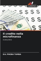 Il credito nella microfinanza 6205342391 Book Cover