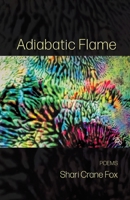 Adiabatic Flame B0FD1XRJV4 Book Cover