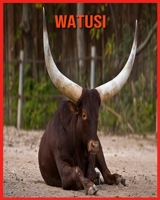 Watusi: Informations Fascinantes Concernant les Watusi avec de Superbes Images pour Enfants! B08WJY83X4 Book Cover