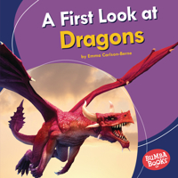 A First Look at Dragons 1541596862 Book Cover