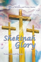Shekinah Glory: Supernatural Miracles and Visions Stories B0CLCZ481X Book Cover