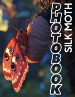 Silk Moth Photo Book: Explore The Beauty Of Nature With 40 Stunning Images Of Silk Moths Inside B0DQ5YYHLY Book Cover