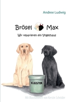 Brösel  Max: Wir reparieren ein Vogelhaus 3751923837 Book Cover