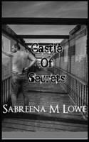 Castle Of Secrets (Book 1 of the Castle Series) B0B92KY5LS Book Cover