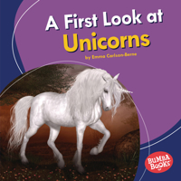 A First Look at Unicorns 1541596811 Book Cover