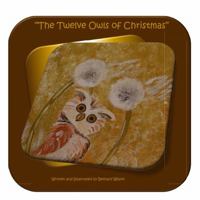 The Twelve Owls of Christmas 1716839963 Book Cover