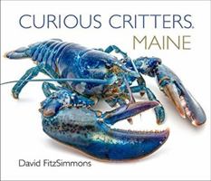 Curious Critters Maine 1936607409 Book Cover