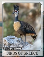 Birds of Greece Photo Book: Explore 40 Stunning Images Of Greece's Unique Avian Wildlife For Enthusiasts B0DPXKP7NP Book Cover