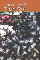 Deslumbramientos B089C8H9QP Book Cover