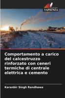 Comportamento a carico del calcestruzzo rinforzato con ceneri termiche di centrale elettrica e cemento (Italian Edition) 6206828506 Book Cover
