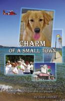 Charm of a Small Town 0741460580 Book Cover