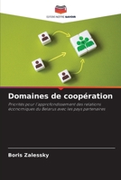 Domaines de coopération (French Edition) 6208583780 Book Cover