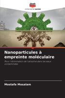 Nanoparticules � empreinte mol�culaire 6204143751 Book Cover