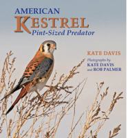 American Kestrel: Pint-Sized Predator 0878426361 Book Cover