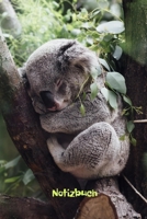 Notizbuch: Tagebuch, Notizbuch mit E-Mail, Telefon und Geburtstagsliste f�r Schule, Hobby und Freizeit. 1671204727 Book Cover