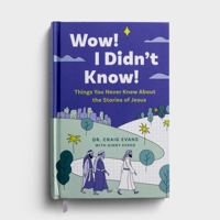 Wow! I Didn't Know! Things You Never Knew about the Stories of Jesus B0FLCRQH5L Book Cover