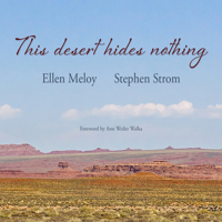 This Desert Hides Nothing 1948814285 Book Cover