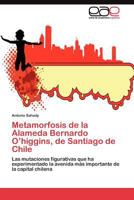 Metamorfosis de la Alameda Bernardo O'higgins, de Santiago de Chile 3845490543 Book Cover