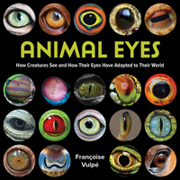 Animal Eyes: How Creatures See and How Their Eyes Have Adapted to Their World 0228104130 Book Cover