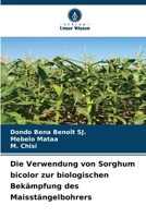 Die Verwendung von Sorghum bicolor zur biologischen Bekämpfung des Maisstängelbohrers (German Edition) 6209937756 Book Cover