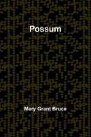 Possum 9361479245 Book Cover