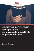 Projet de Bioénergie: Énergie verte renouvelable à partir de la plante Mimosa (French Edition) 6207219686 Book Cover