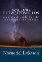 Walking Between Worlds: a survival guide to life touched by the Unseen 1502315955 Book Cover