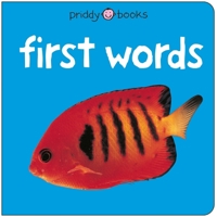 Bright Baby First Words (Bright Baby) 0312493886 Book Cover