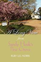 A Long View from Sandy Hook's Pine Grove 0615657249 Book Cover