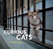 Curious Cats 0811870049 Book Cover