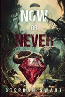 Now or Never B0F577H6RH Book Cover